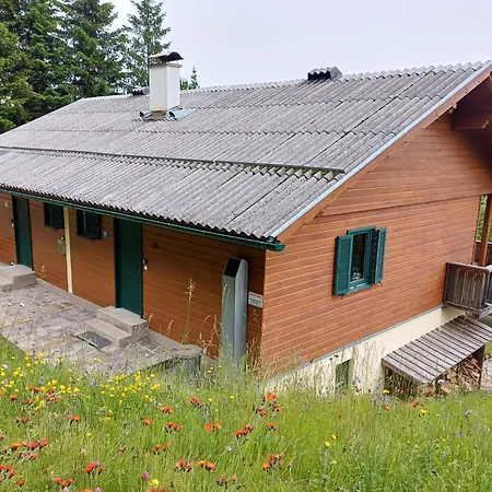 Holiday home Almzeit Klippitz *