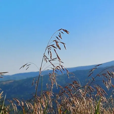 Almzeit Klippitz * Klippitztorl