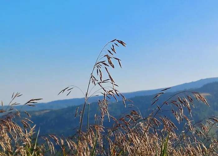 Almzeit Klippitz * Klippitztorl